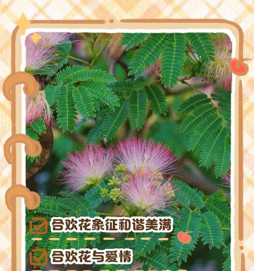 哪种花的花语含有负面含义？负面含义的花有哪些？