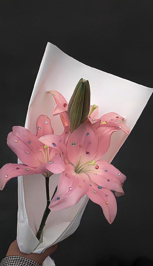 粉百合花语是什么？代表了哪些含义？