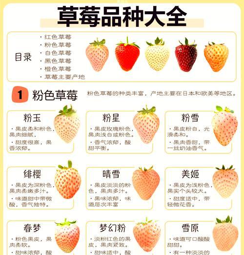草莓装扮的花有哪些寓意？花语中有哪些特别的含义？