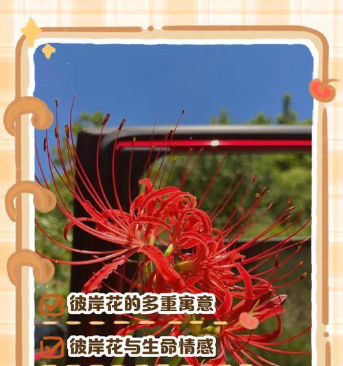 有花自开的含义是什么？它在自然界中的象征意义是什么？