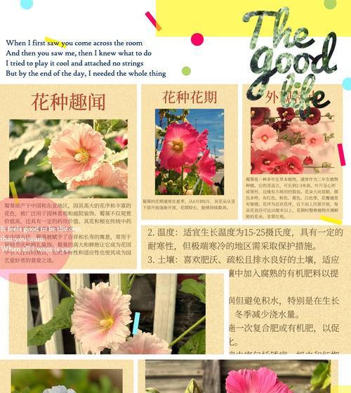 花的特殊含义和象征是什么？每种花背后隐藏的深层意义。
