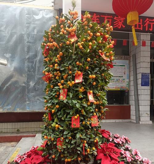 哪些花寓意祝成功？它们在庆祝场合中的应用是什么？