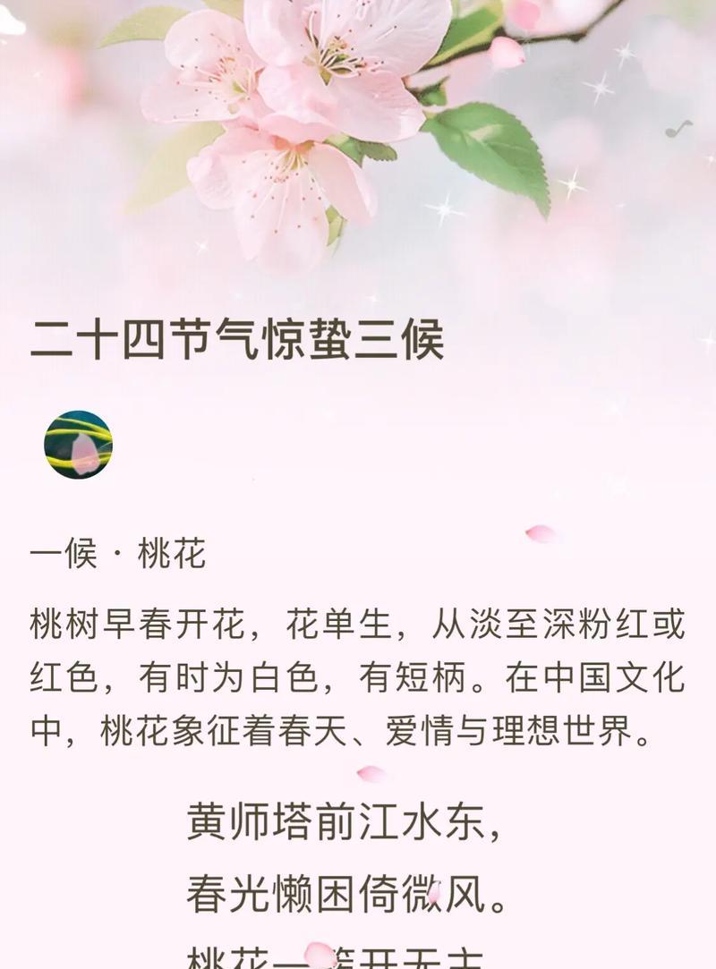 桃花通常象征着什么？