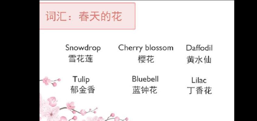 花签上的备注通常是什么意思？花签备注的含义是什么？