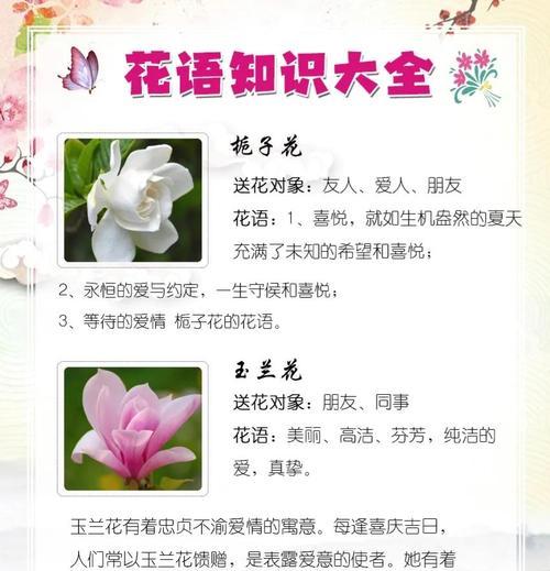栀子花花语含义是什么？