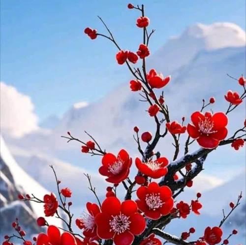 哪些花象征告别过去重新开始？告别过去花的寓意是什么？