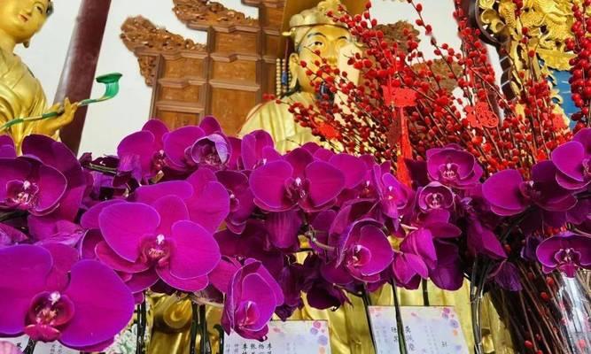 寺庙供花有何寓意？供花在寺庙中的意义是什么？