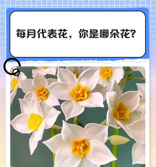 不亮的花表达什么含义？