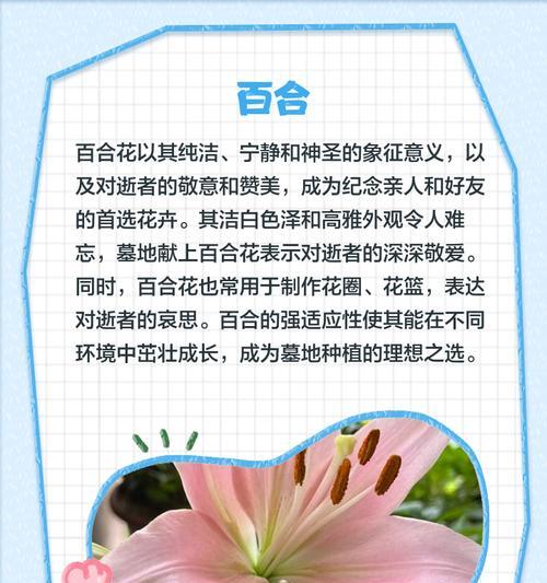 坟头长花象征着什么？