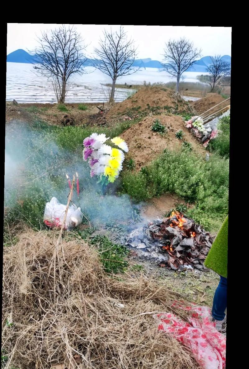 坟头长花象征着什么？