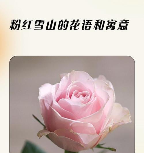 花涧小舍的寓意和象征意义是什么？