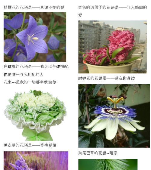花涧小舍的寓意和象征意义是什么？