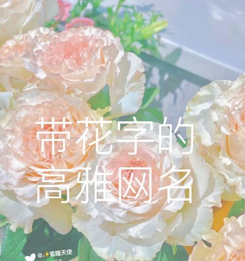 折花网名象征意义是什么？如何选择合适的网名？