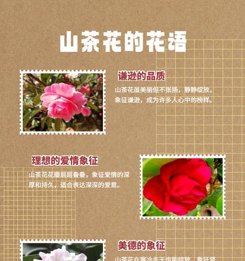 带刺的花象征着什么？带刺植物的花语有哪些？