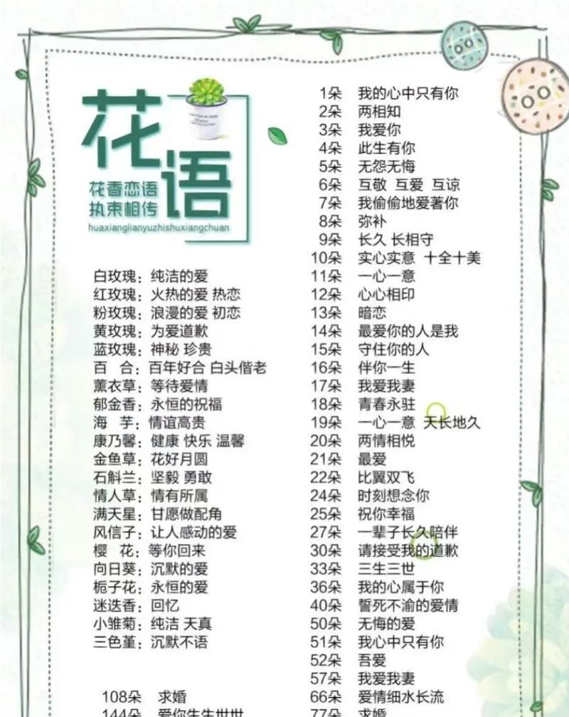 18朵不同花朵组合的寓意是什么？每种花的象征意义是什么？