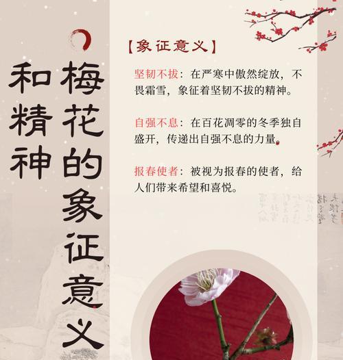 18朵不同花朵组合的寓意是什么？每种花的象征意义是什么？