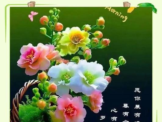 平安健康象征的花卉有哪些？