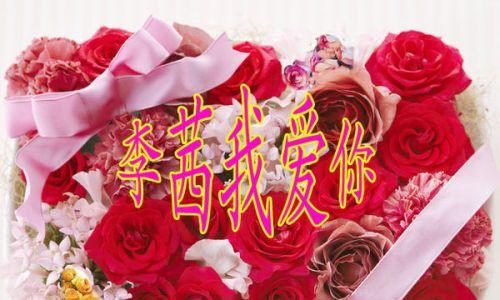 我爱你花代表什么意义？我爱你花寓意是什么？
