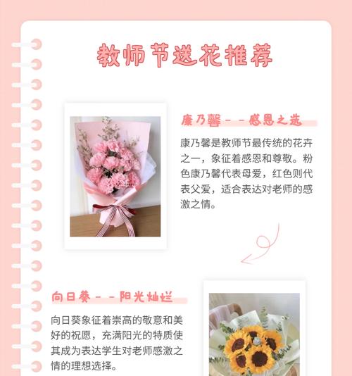 康乃馨花语及象征意义揭秘（探索康乃馨的浪漫背后及其在不同场合中的应用）