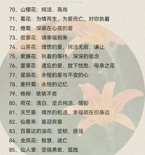 袖珍椰子的花语——小巧而坚韧的生命之花（探寻袖珍椰子的象征意义与魅力）