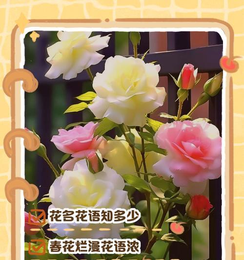 薰衣草的花语（探索薰衣草的象征意义与心灵力量）
