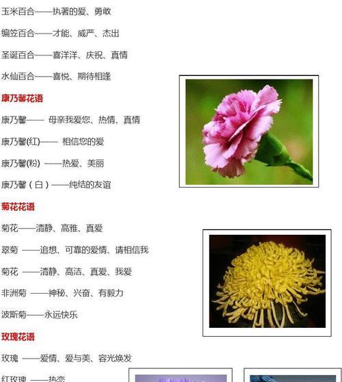 薰衣草的花语（探索薰衣草的象征意义与心灵力量）