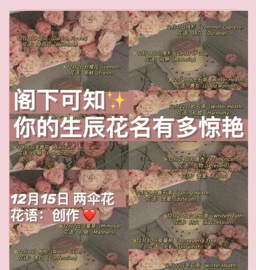 辛夷花的花语（辛夷花的美丽与深情）