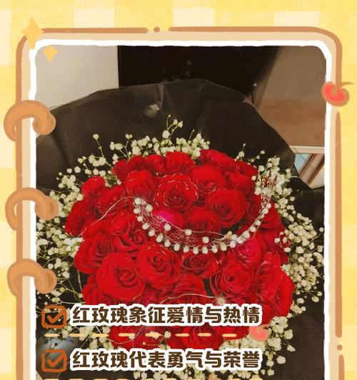 红玫瑰花语大全及寓意（红玫瑰花语的浪漫和情感之意）