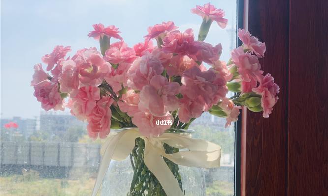 多头康乃馨（盛开的花朵，传递无尽的情感）