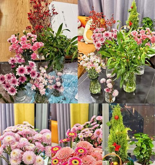 多头康乃馨（盛开的花朵，传递无尽的情感）