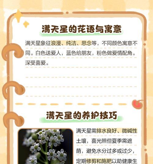 满天星花语（满天星花语的丰富意义与传承）