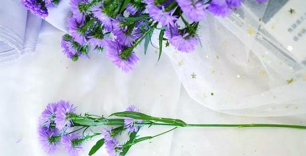 孔雀草的花语——祥瑞与自由的象征（揭秘孔雀草的花语及其象征意义）