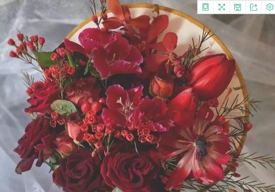 手捧花四只一捧的寓意是什么？它们象征着什么？
