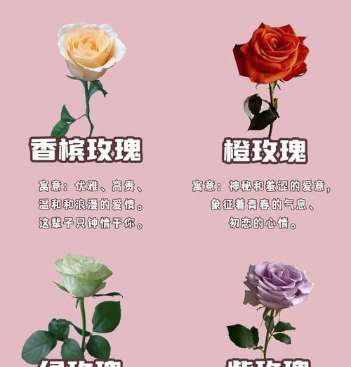手捧花戒指低托的含义是什么？戒指低托花束的寓意是什么？