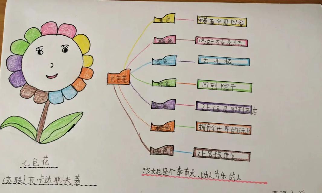 七色花的颜色寓意是什么？七色花象征着什么？