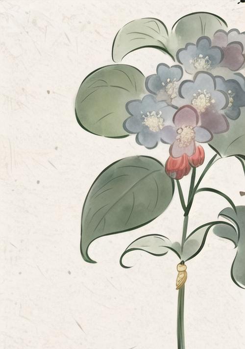 绣球花的背景是什么？绣球花的意义和文化含义是什么？