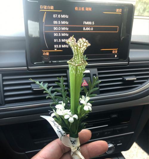 哈萨克族手捧花代表什么意义？
