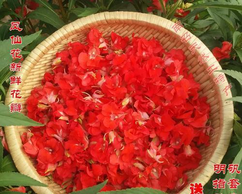在不同场合应选择什么花？不同场合花的特殊含义是什么？