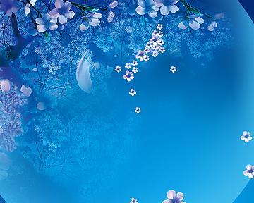 哪些蓝色花寓意星空？它们的含义是什么？