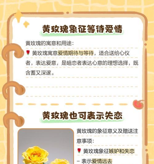 黄色的玫瑰手捧花含义是什么？它代表了什么？