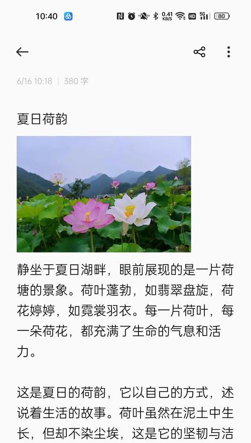 夏荷长寿花代表什么？它的寓意和象征是什么？