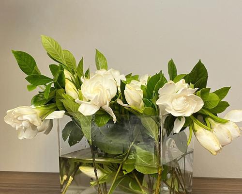 栀子花季节项链有何特别寓意？