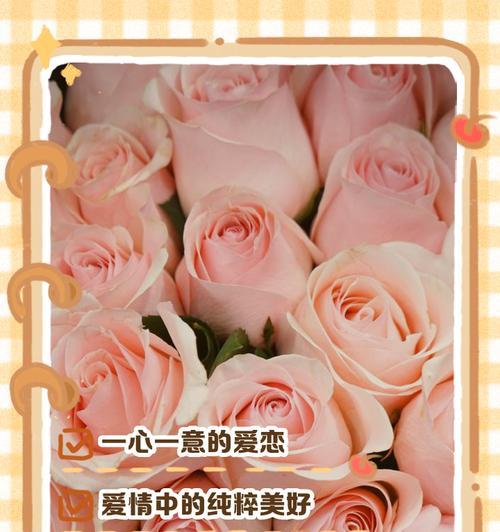 粉色玫瑰在花语中代表什么？