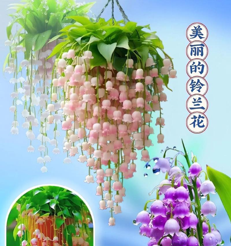 哪种花寓意幸福？它们的花语是什么？