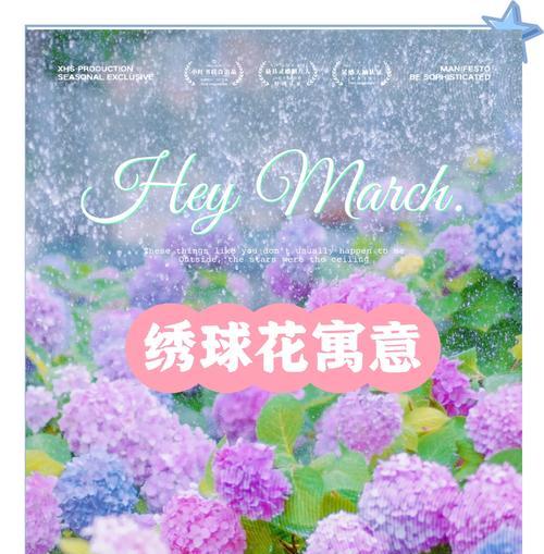 老人送媳妇什么花有特别寓意？花的象征意义是什么？