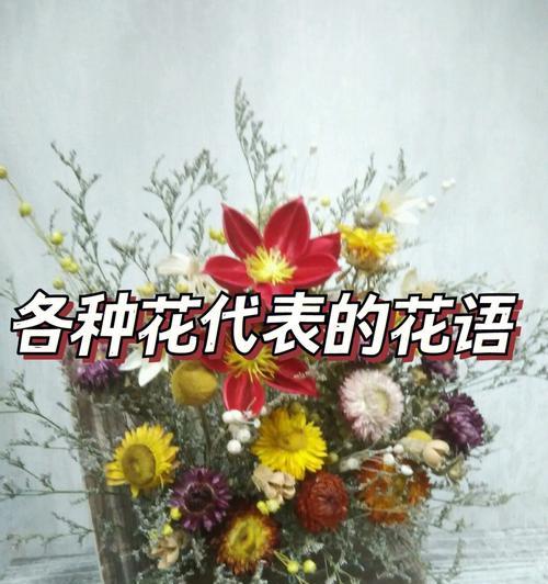 情人节送什么花代表友情？花语中友情的表达方式有哪些？