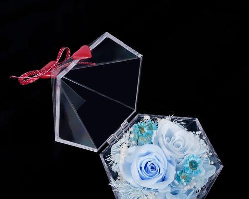 永生花黑色代表什么？它的寓意和象征意义是什么？
