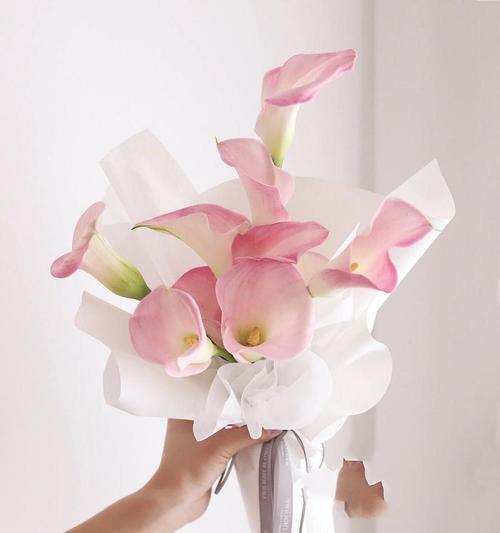 哪些手捧花寓意成功？寓意成功的手捧花有哪些？
