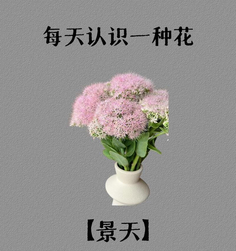 哪些花材象征富贵？富贵花材的选择和意义是什么？