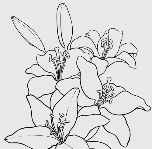 神话中的花有哪些象征意义？不同神话花的寓意是什么？